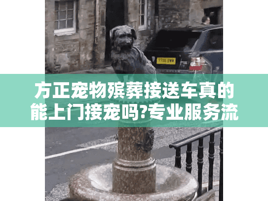 方正宠物殡葬接送车真的能上门接宠吗?专业服务流程全揭秘