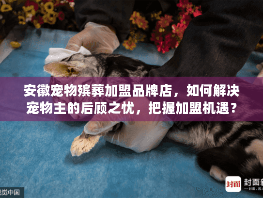 安徽宠物殡葬加盟品牌店，如何解决宠物主的后顾之忧，把握加盟机遇？