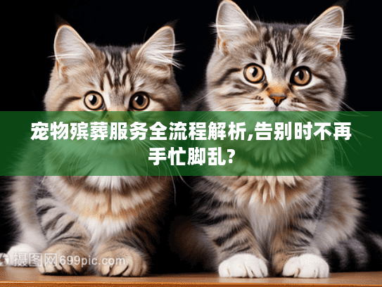 宠物殡葬服务全流程解析,告别时不再手忙脚乱?