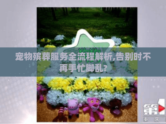 宠物殡葬服务全流程解析,告别时不再手忙脚乱?