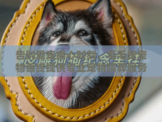 告别爱宠痛心时刻，毛毛宠宠物善终提供专业宠物殡葬服务解决方案