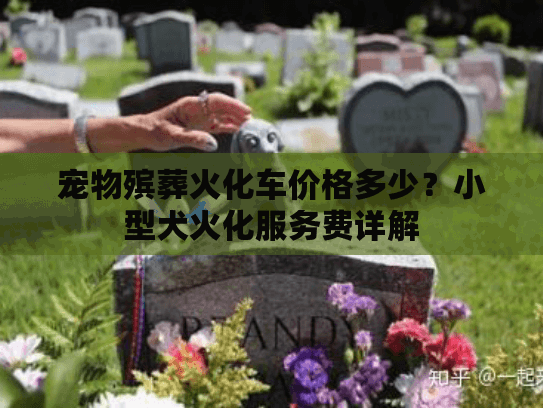 宠物殡葬火化车价格多少？小型犬火化服务费详解