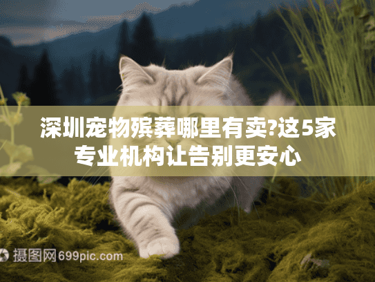 深圳宠物殡葬哪里有卖?这5家专业机构让告别更安心