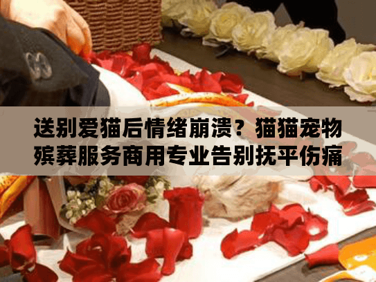 送别爱猫后情绪崩溃？猫猫宠物殡葬服务商用专业告别抚平伤痛