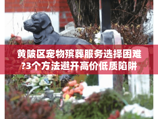 黄陂区宠物殡葬服务选择困难?3个方法避开高价低质陷阱
