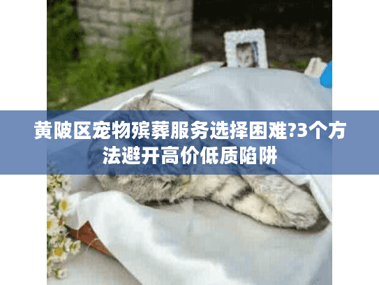 黄陂区宠物殡葬服务选择困难?3个方法避开高价低质陷阱