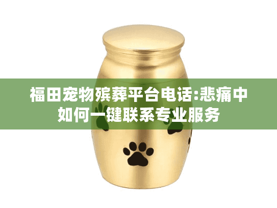 福田宠物殡葬平台电话:悲痛中如何一键联系专业服务
