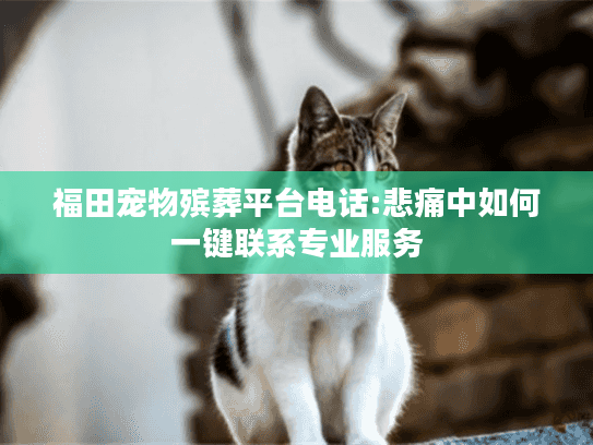 福田宠物殡葬平台电话:悲痛中如何一键联系专业服务