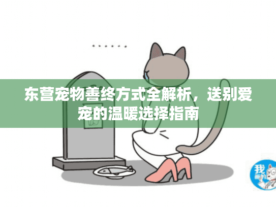 东营宠物善终方式全解析，送别爱宠的温暖选择指南