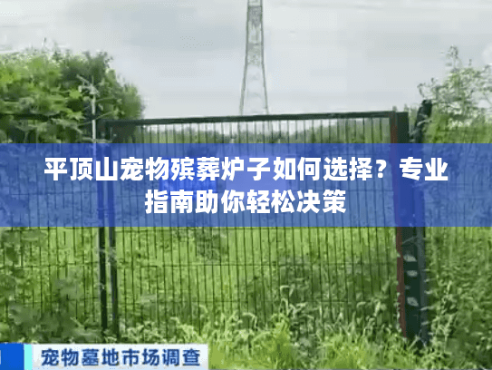 平顶山宠物殡葬炉子如何选择？专业指南助你轻松决策