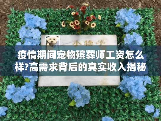 疫情期间宠物殡葬师工资怎么样?高需求背后的真实收入揭秘