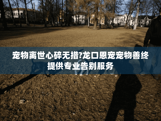 宠物离世心碎无措?龙口恩宠宠物善终提供专业告别服务