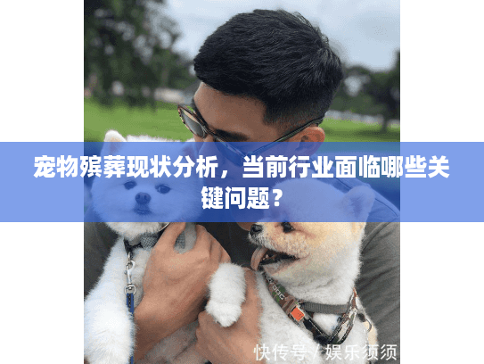 宠物殡葬现状分析，当前行业面临哪些关键问题？