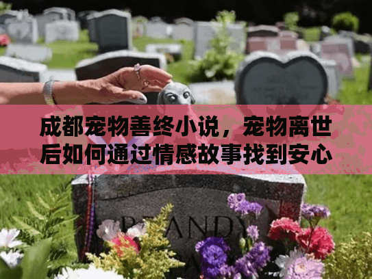 成都宠物善终小说，宠物离世后如何通过情感故事找到安心善终服务？