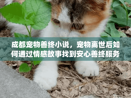 成都宠物善终小说，宠物离世后如何通过情感故事找到安心善终服务？