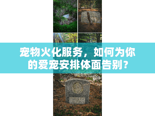 宠物火化服务，如何为你的爱宠安排体面告别？