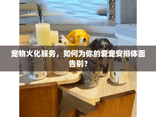 宠物火化服务，如何为你的爱宠安排体面告别？
