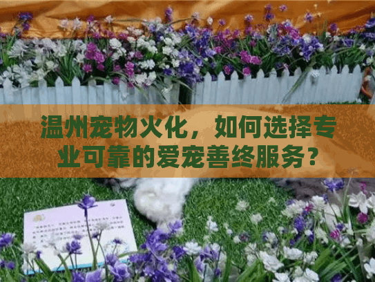 温州宠物火化，如何选择专业可靠的爱宠善终服务？