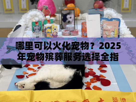 哪里可以火化宠物？2025年宠物殡葬服务选择全指南
