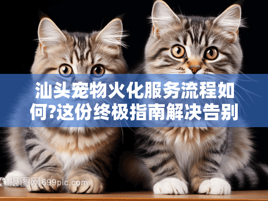 汕头宠物火化服务流程如何?这份终极指南解决告别难题