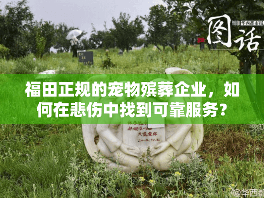 福田正规的宠物殡葬企业，如何在悲伤中找到可靠服务？