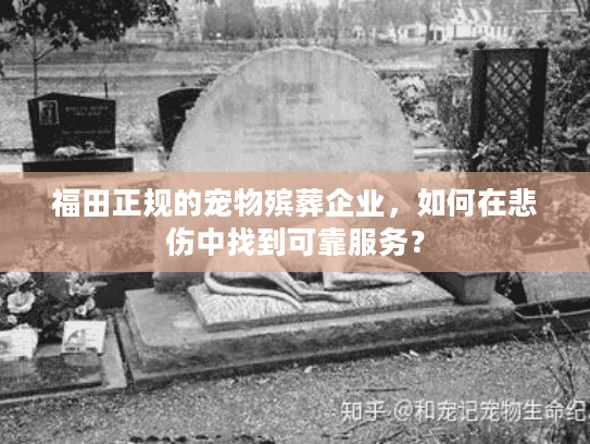 福田正规的宠物殡葬企业，如何在悲伤中找到可靠服务？