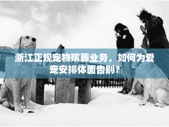浙江正规宠物殡葬业务，如何为爱宠安排体面告别？