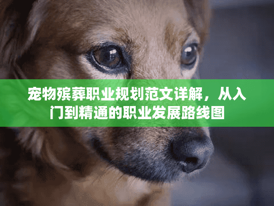 宠物殡葬职业规划范文详解，从入门到精通的职业发展路线图