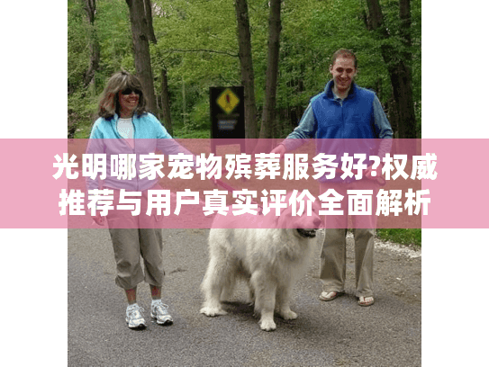 光明哪家宠物殡葬服务好?权威推荐与用户真实评价全面解析
