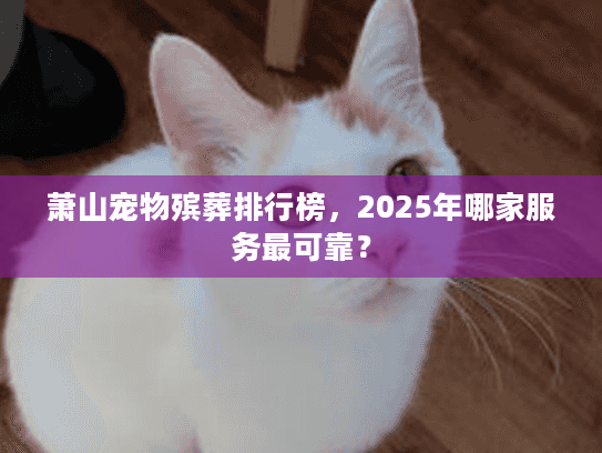 萧山宠物殡葬排行榜，2025年哪家服务最可靠？