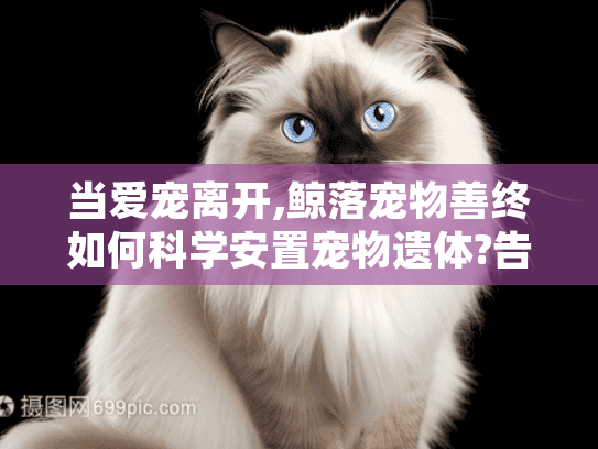当爱宠离开,鲸落宠物善终如何科学安置宠物遗体?告别遗体处理焦虑