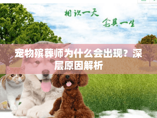 宠物殡葬师为什么会出现？深层原因解析
