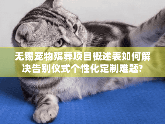 无锡宠物殡葬项目概述表如何解决告别仪式个性化定制难题?