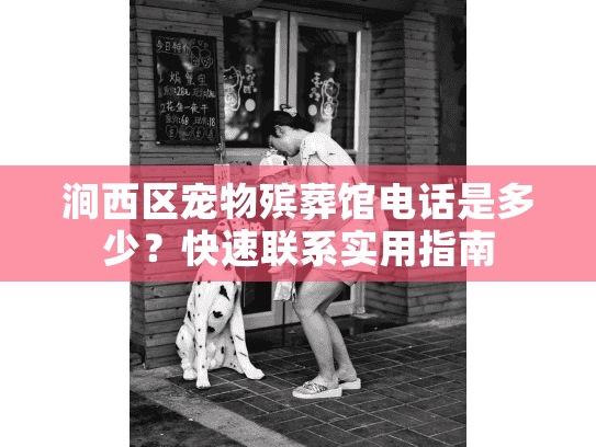 涧西区宠物殡葬馆电话是多少？快速联系实用指南