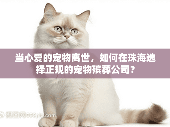 当心爱的宠物离世，如何在珠海选择正规的宠物殡葬公司？
