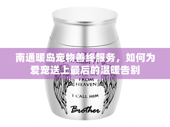 南通暖岛宠物善终服务，如何为爱宠送上最后的温暖告别