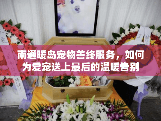 南通暖岛宠物善终服务，如何为爱宠送上最后的温暖告别