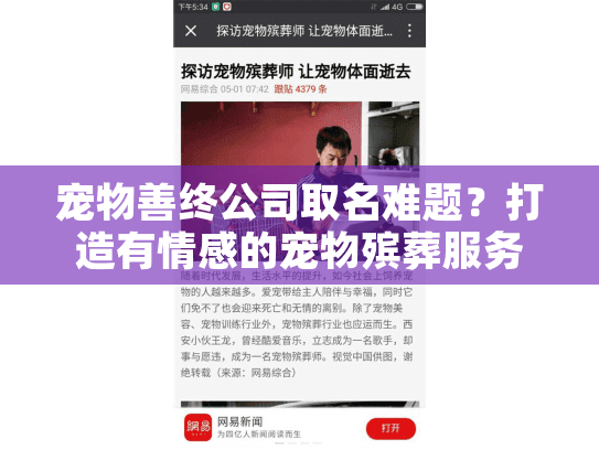 宠物善终公司取名难题？打造有情感的宠物殡葬服务品牌名指南