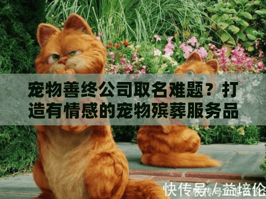 宠物善终公司取名难题?打造有情感的宠物殡葬服务品牌名指南