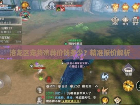 洛龙区宠物殡葬价钱多少？精准报价解析