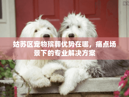 姑苏区宠物殡葬优势在哪，痛点场景下的专业解决方案