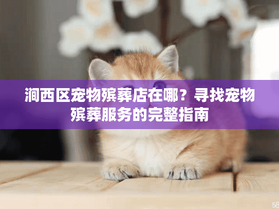 涧西区宠物殡葬店在哪？寻找宠物殡葬服务的完整指南