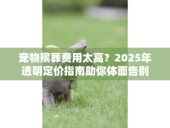 宠物殡葬费用太高？2025年透明定价指南助你体面告别