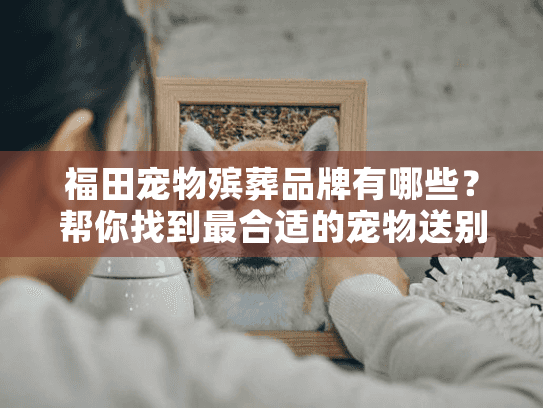 福田宠物殡葬品牌有哪些？帮你找到最合适的宠物送别服务