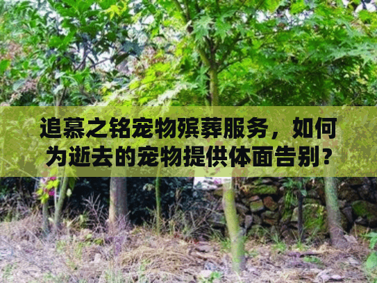 追慕之铭宠物殡葬服务，如何为逝去的宠物提供体面告别？