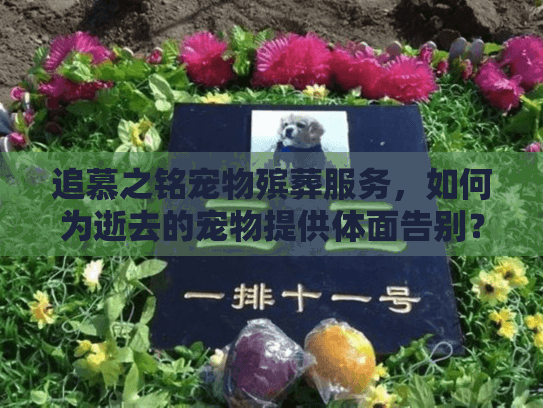追慕之铭宠物殡葬服务，如何为逝去的宠物提供体面告别？