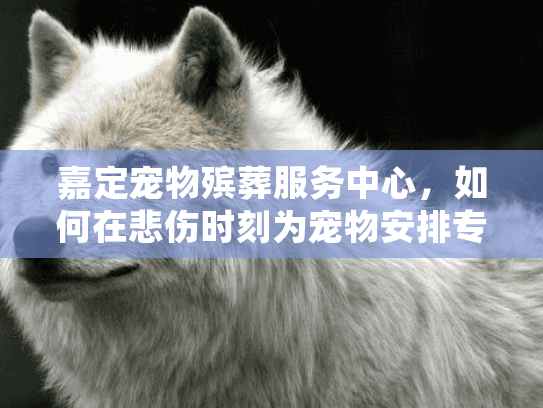 嘉定宠物殡葬服务中心，如何在悲伤时刻为宠物安排专业告别仪式?