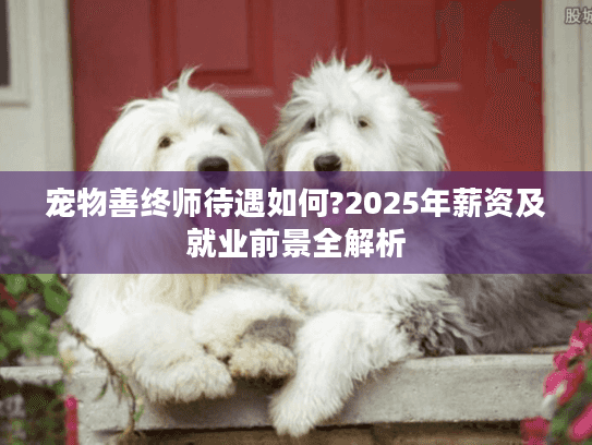 宠物善终师待遇如何?2025年薪资及就业前景全解析