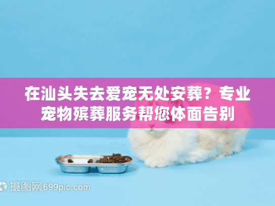 在汕头失去爱宠无处安葬？专业宠物殡葬服务帮您体面告别