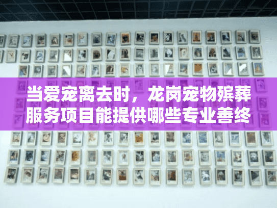 当爱宠离去时，龙岗宠物殡葬服务项目能提供哪些专业善终方案？